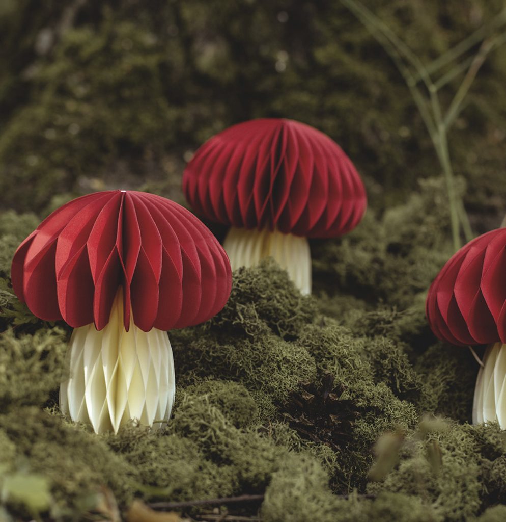 Suspension Champignons alvéolés