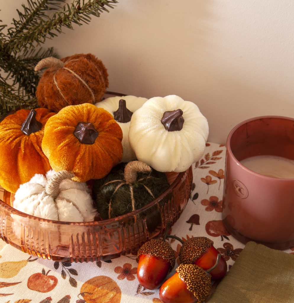 Citrouilles d'automne - Le Géant de la Fête