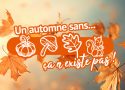 5 indispensables pour décorer une maison ou une table pour l'automne