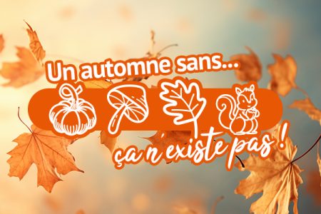 5 indispensables pour décorer une maison ou une table pour l'automne